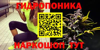 прущие крисы Кулебаки