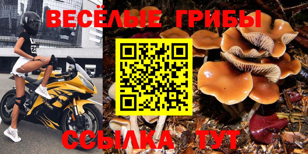 Псилоцибиновые грибы мухоморы Кубинка